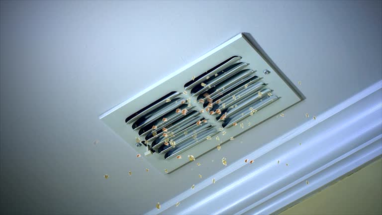 Best Ventilation Cleaning Services  in Mulberry, OH