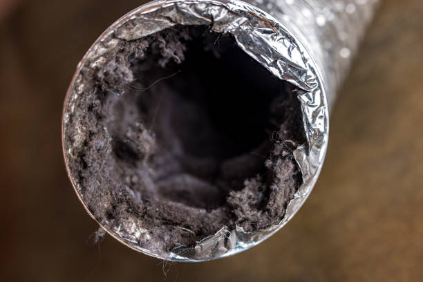 Best Air Vent Cleaning Services  in Mulberry, OH